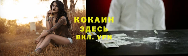 MESCALINE Заводоуковск