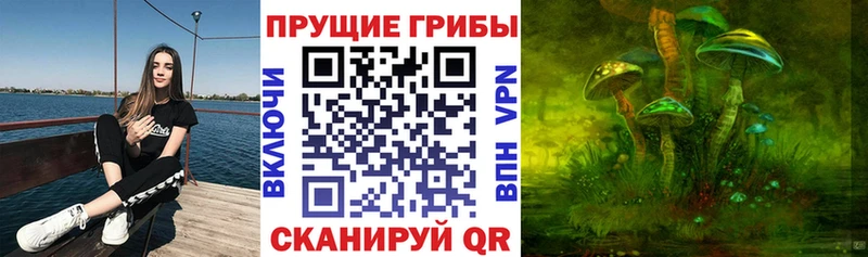 Псилоцибиновые грибы ЛСД  хочу наркоту  Сальск 