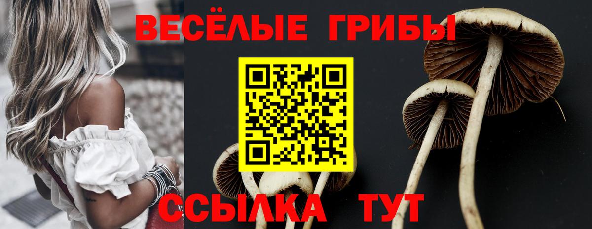 Псилоцибиновые грибы прущие грибы  Вход с VPN  что такое   Сальск  Псилоцибиновые грибы Magic Shrooms 
